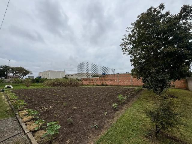 Terreno venda em Piraquara, Região Geográfica Intermediária de Curitiba