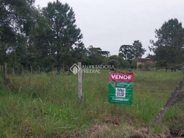 Terreno venda em Piraquara, Região Geográfica Intermediária de Curitiba