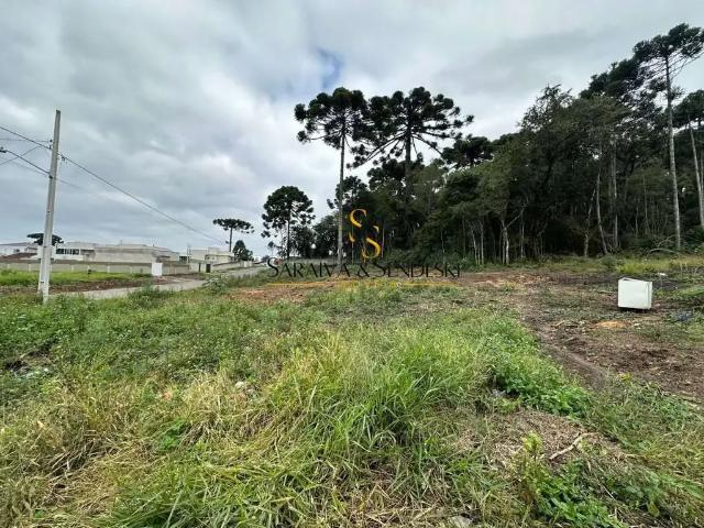 Terreno venda em Região Geográfica Imediata de Curitiba, Região Metropolitana de Curitiba
