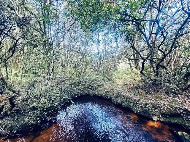 Terreno venda em Região Geográfica Imediata de Curitiba, Região Metropolitana de Curitiba