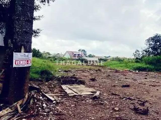 Terreno venda em Região Geográfica Imediata de Curitiba, Região Metropolitana de Curitiba