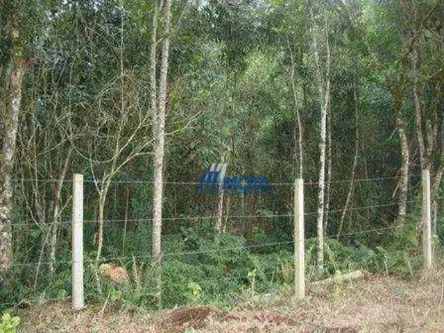 Terreno venda em Piraquara, Região Geográfica Intermediária de Curitiba