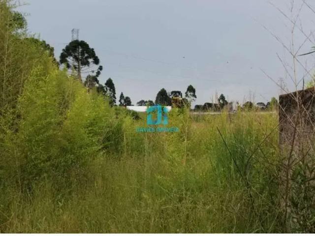 Terreno venda em Região Geográfica Imediata de Curitiba, Região Metropolitana de Curitiba
