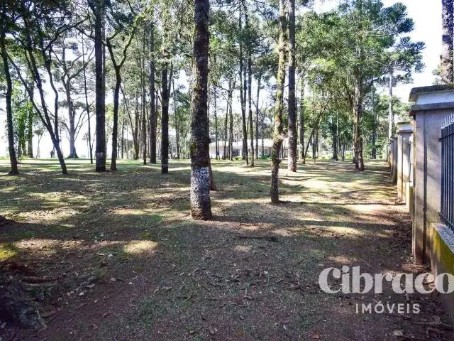 Terreno venda em Região Geográfica Imediata de Curitiba, Região Metropolitana de Curitiba