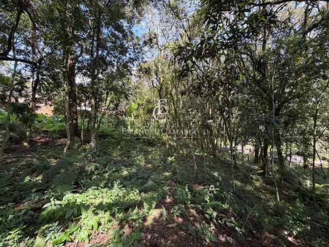 Terreno venda em Piraquara, Região Geográfica Intermediária de Curitiba