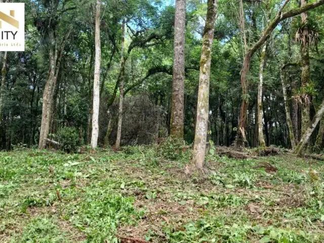 Terreno venda em Piraquara, Região Geográfica Intermediária de Curitiba