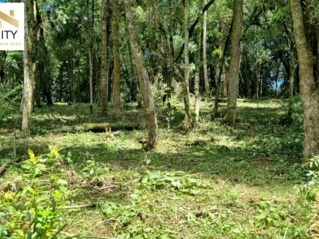 Terreno venda em Piraquara, Região Geográfica Intermediária de Curitiba