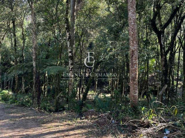 Terreno venda em Região Geográfica Imediata de Curitiba, Região Metropolitana de Curitiba