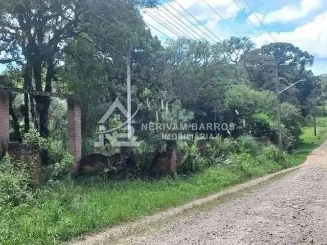 Terreno venda em Piraquara, Região Geográfica Intermediária de Curitiba