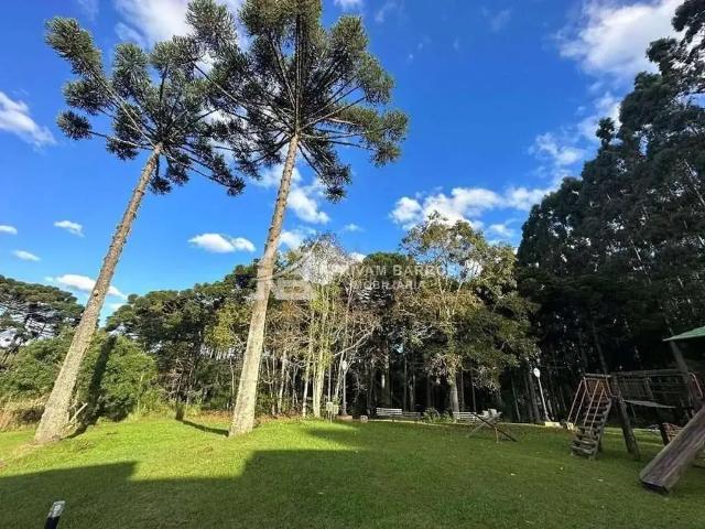 Terreno venda em Região Geográfica Imediata de Curitiba, Região Metropolitana de Curitiba