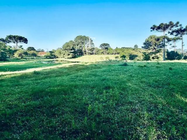 Terreno venda em Roça Nova, Piraquara