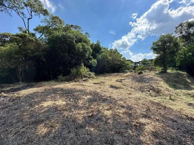 Terreno venda em Piraquara, Região Geográfica Intermediária de Curitiba