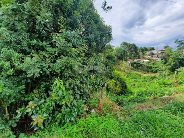 Terreno venda em Piraquara, Região Geográfica Intermediária de Curitiba