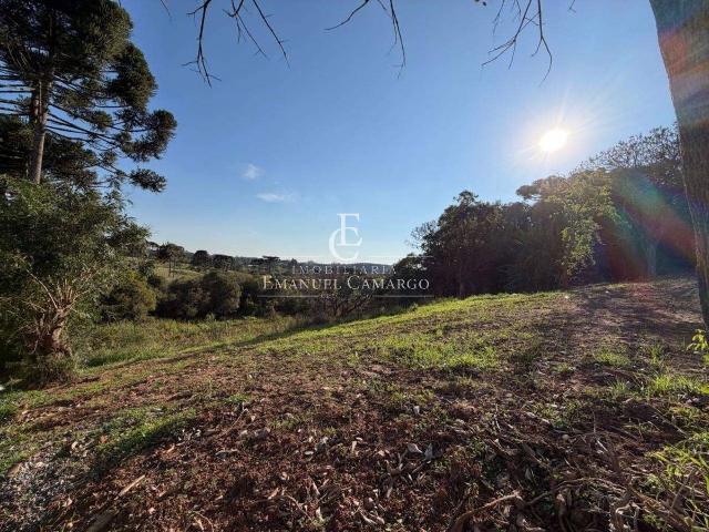 Terreno venda em Piraquara, Região Geográfica Intermediária de Curitiba