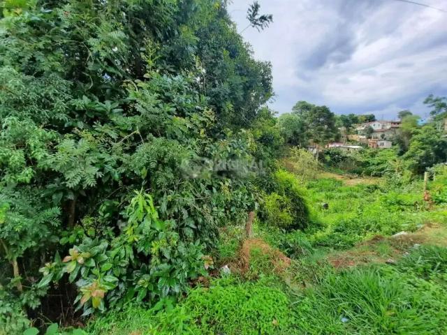 Terreno venda em Região Geográfica Imediata de Curitiba, Região Metropolitana de Curitiba