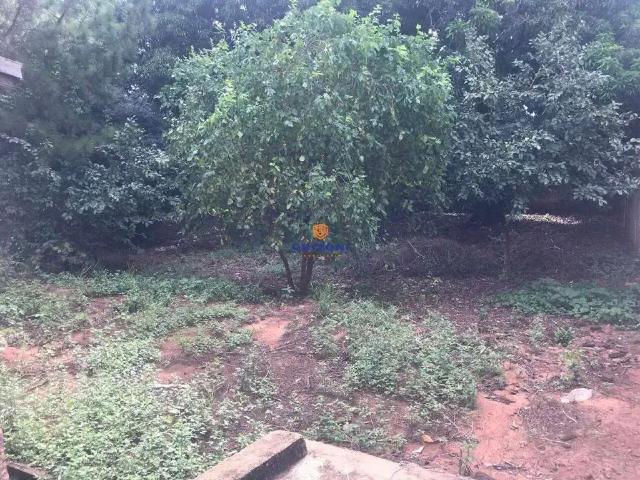 Terreno venda em Região Imediata de Bauru, Piratininga