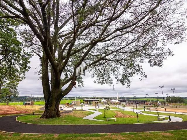 Terreno venda em Região Imediata de Bauru, Piratininga