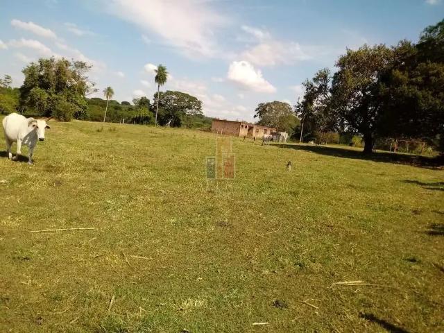 Terreno venda em Região Imediata de Bauru, Piratininga