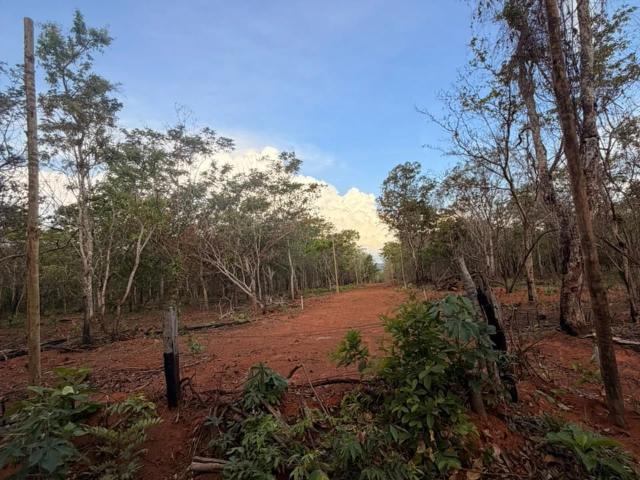 Terreno venda em Pirenópolis, Região Geográfica Intermediária de Goiânia