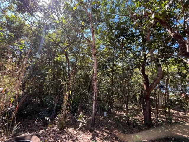Terreno venda em Região Geográfica Imediata de Anápolis, Região Integrada de Desenvolvimento do Distrito Federal e Entorno