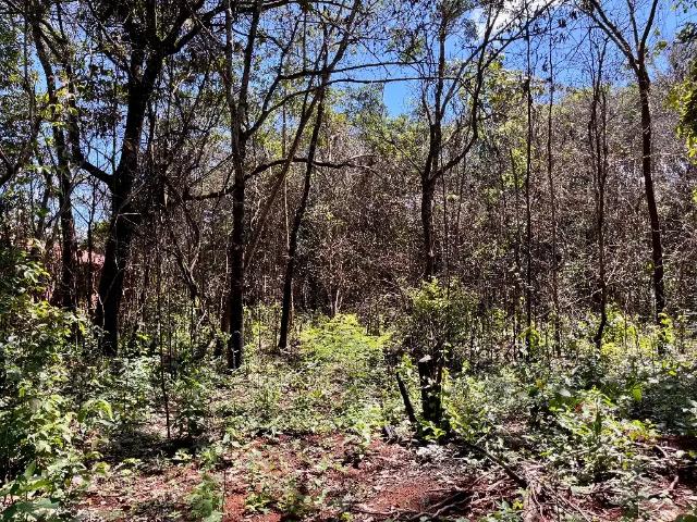 Terreno venda em Região Geográfica Imediata de Anápolis, Região Integrada de Desenvolvimento do Distrito Federal e Entorno