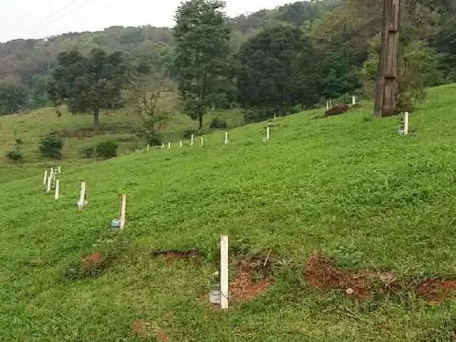 Terreno venda em Região Geográfica Imediata de Chapecó, Planalto Alegre