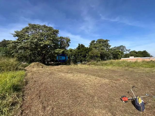 Terreno venda em Região Geográfica Imediata de Frutal, Planura