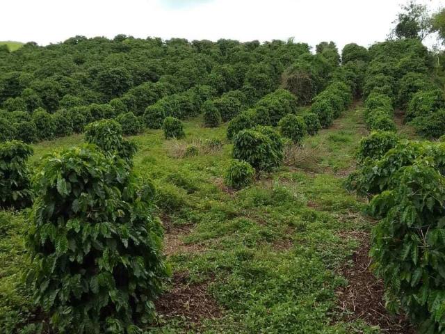 Terreno venda em Região Urbana Homogênea V, Poços de Caldas