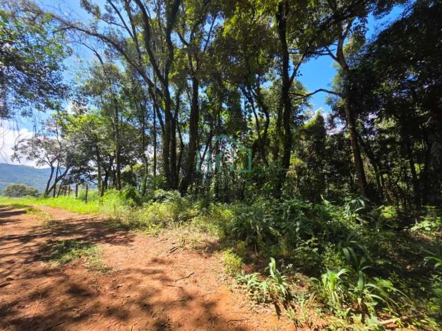 Terreno venda em Poços de Caldas, Região Geográfica Intermediária de Pouso Alegre