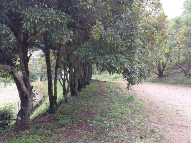 Terreno venda em Poços de Caldas, Região Geográfica Intermediária de Pouso Alegre