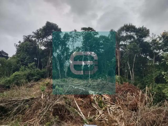 Terreno venda em Região Geográfica Imediata de Blumenau, Pomerode