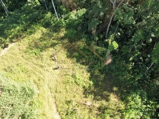 Terreno venda em Região Geográfica Imediata de Blumenau, Pomerode