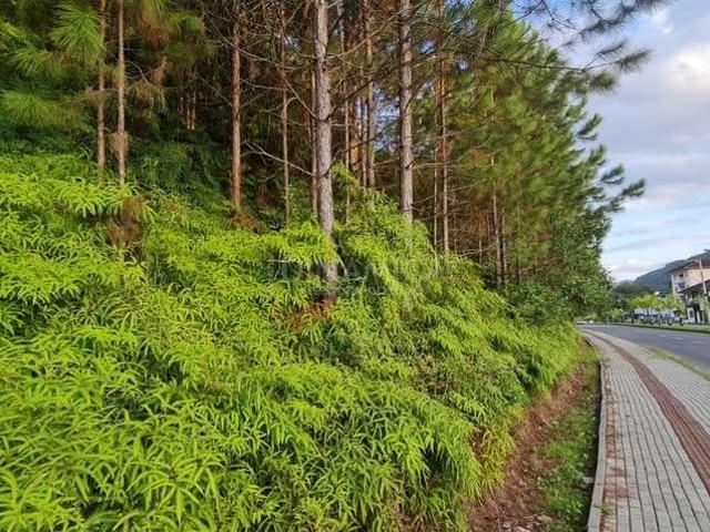 Terreno venda em Região Geográfica Imediata de Blumenau, Pomerode