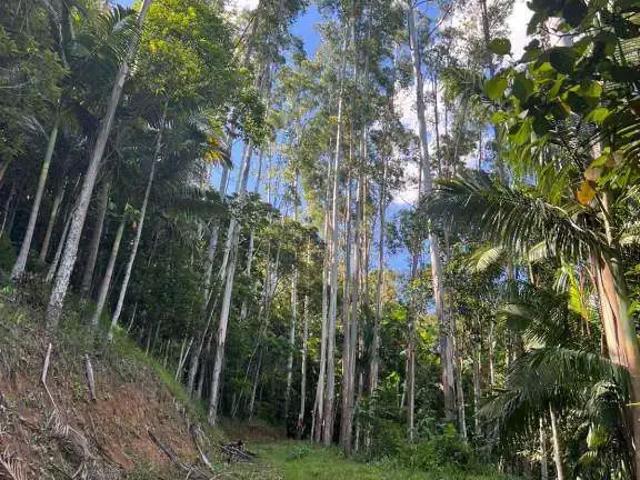 Terreno venda em Região Geográfica Imediata de Blumenau, Pomerode
