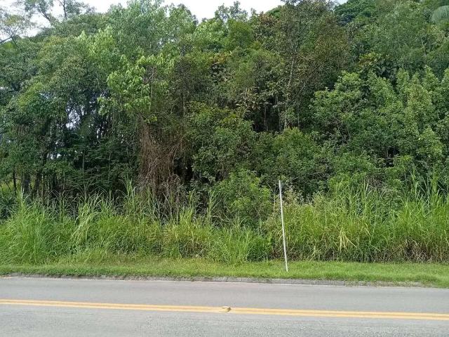 Terreno venda em Região Geográfica Imediata de Blumenau, Pomerode