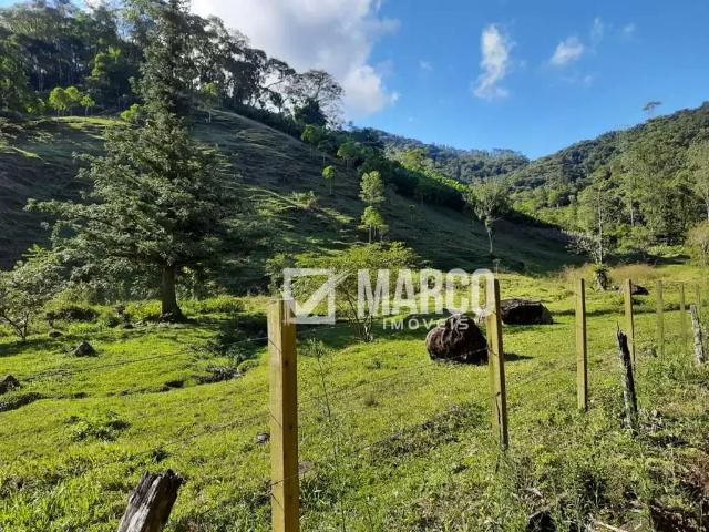 Terreno venda em Região Geográfica Imediata de Blumenau, Pomerode