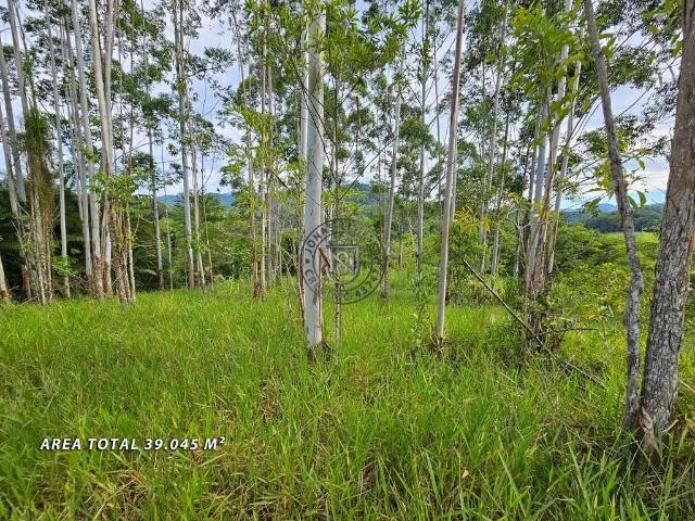 Terreno venda em Região Geográfica Imediata de Blumenau, Pomerode