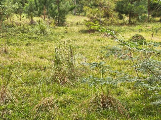 Terreno venda em Testo Central, Pomerode