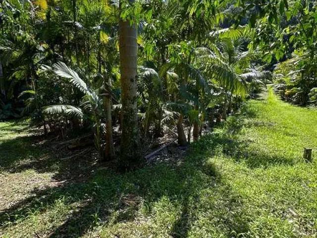 Terreno venda em Região Geográfica Imediata de Blumenau, Pomerode