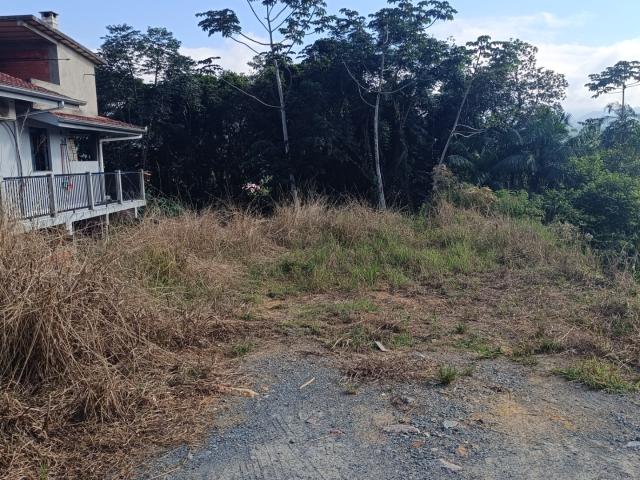 Terreno venda em Região Geográfica Imediata de Blumenau, Pomerode