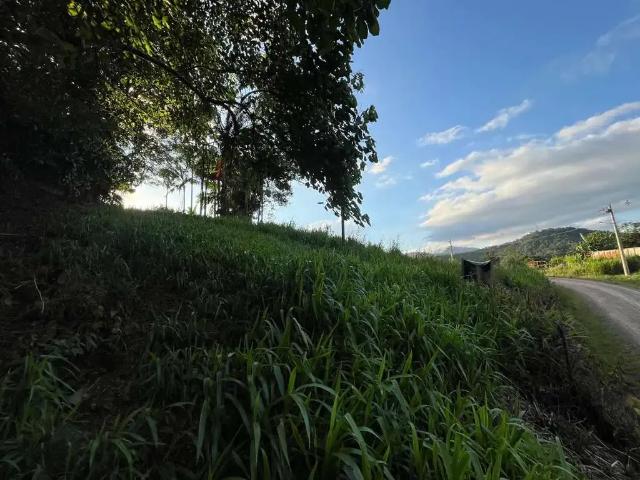 Terreno venda em Região Geográfica Imediata de Blumenau, Pomerode