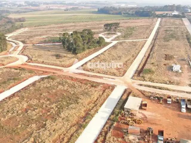 Terreno venda em Região Geográfica Imediata de Ponta Grossa, Ponta Grossa