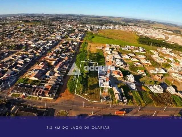 Terreno venda em Pinheiros, Ponta Grossa
