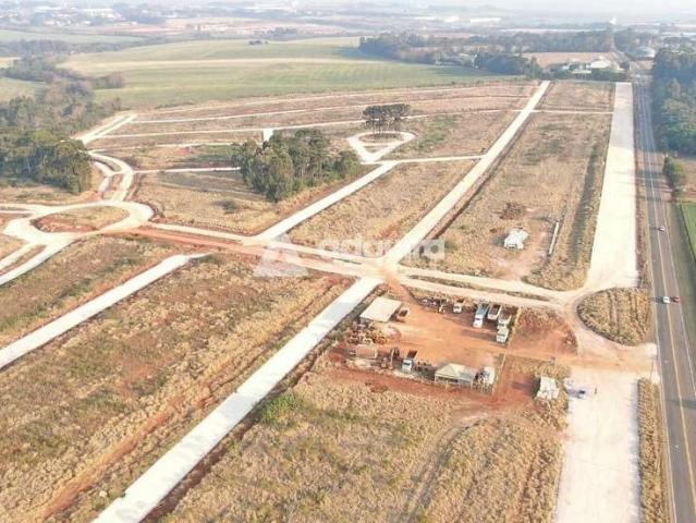 Terreno venda em Região Geográfica Imediata de Ponta Grossa, Ponta Grossa