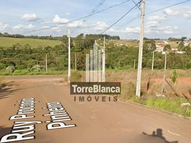 Terreno venda em Cará-Cará, Ponta Grossa