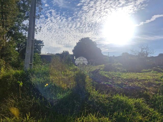 Terreno venda em Cará-Cará, Ponta Grossa