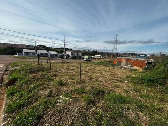 Terreno venda em Cará-Cará, Ponta Grossa