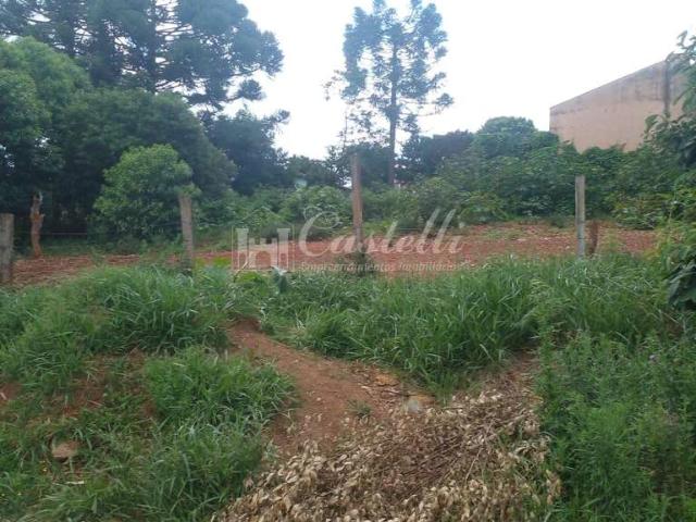 Terreno venda em Cará-Cará, Ponta Grossa