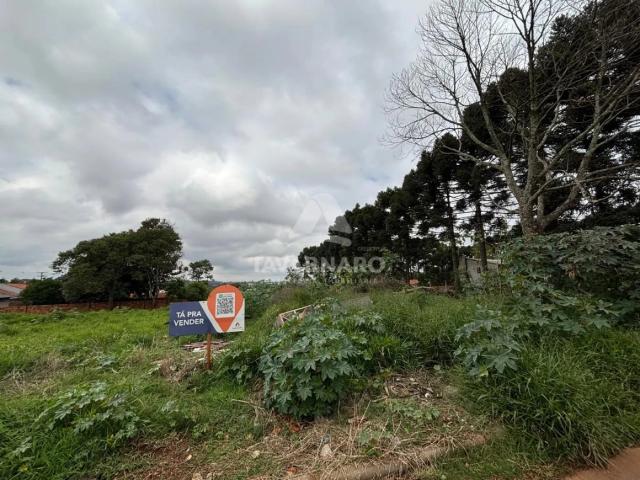 Terreno venda em Cará-Cará, Ponta Grossa