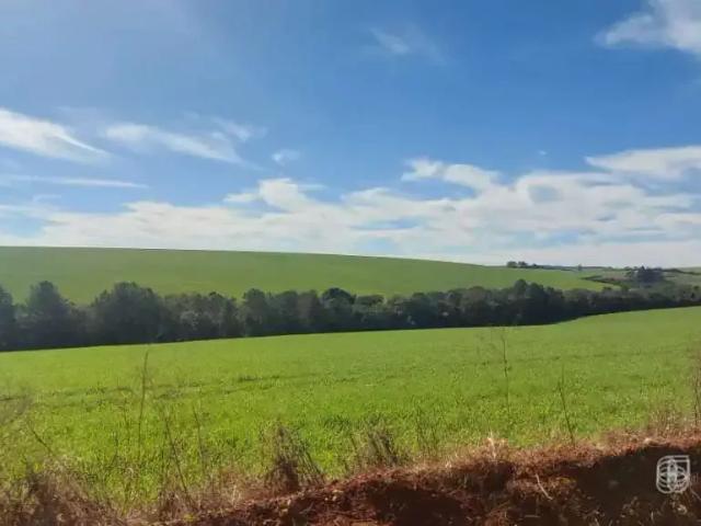 Terreno venda em Região Geográfica Imediata de Ponta Grossa, Ponta Grossa